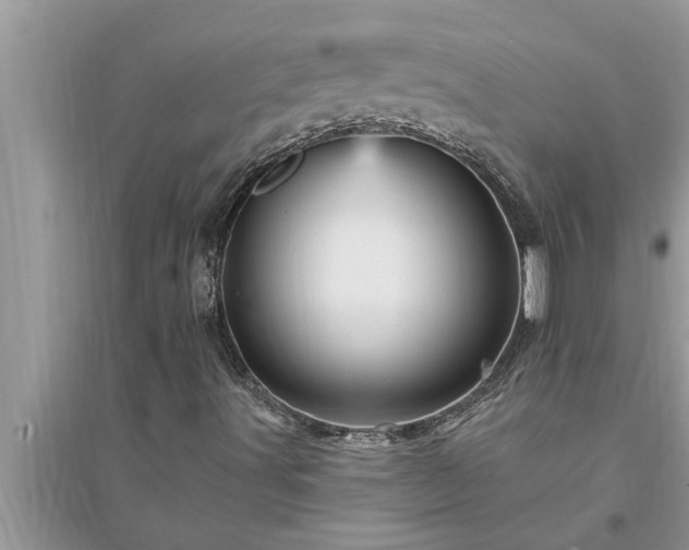 X0000095531491200712211313