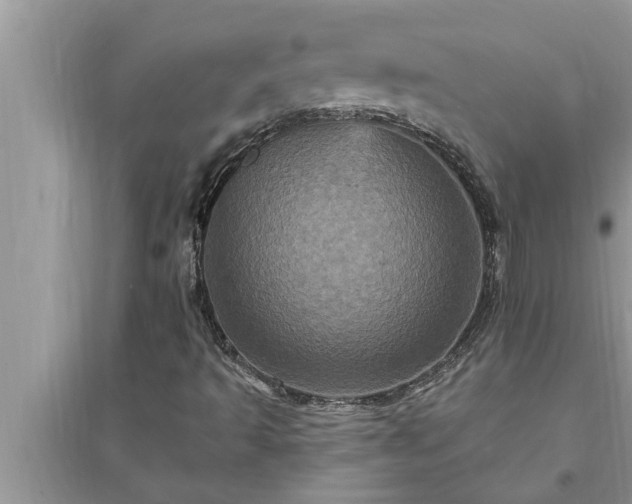 X0000095531493200712211313