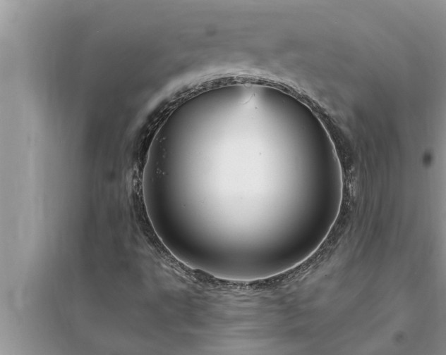 X0000095531495200712211313
