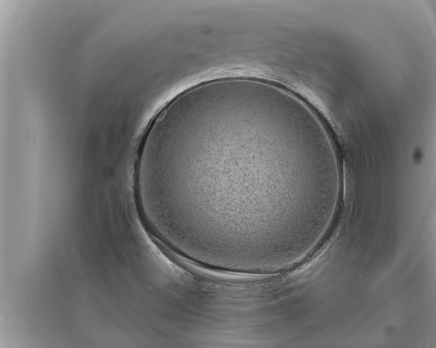 X0000095531500200712211313