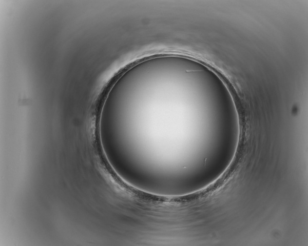 X0000095531503200712211313