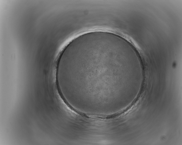 X0000095531504200712211313