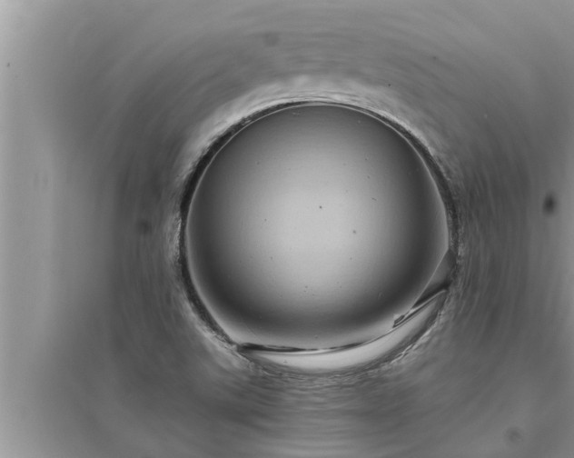 X0000095531507200712211313