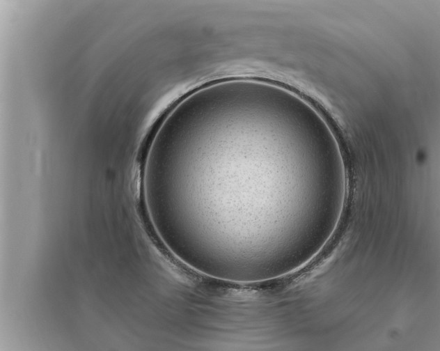 X0000095531509200712211314