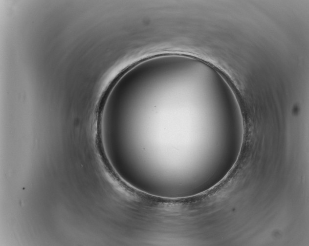 X0000095531511200712211314