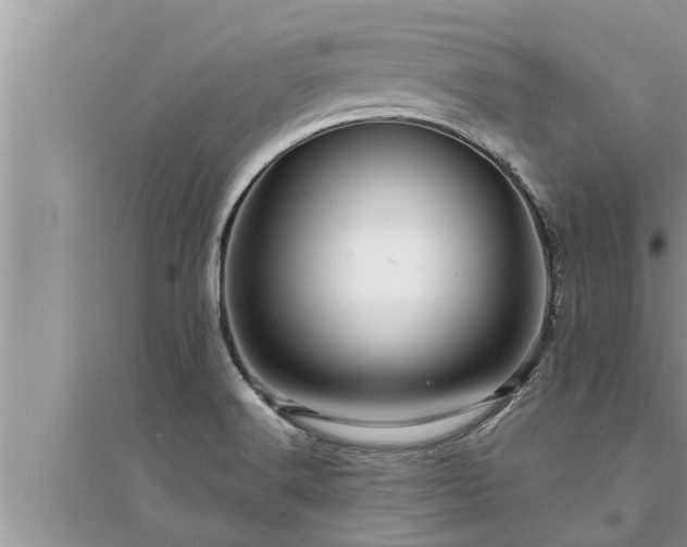 X0000095531516200712211314