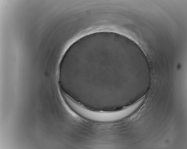 X0000095531519200712211314