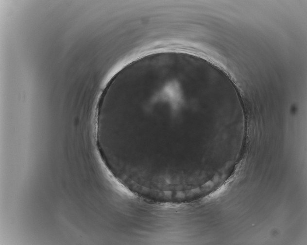 X0000095531522200712211314
