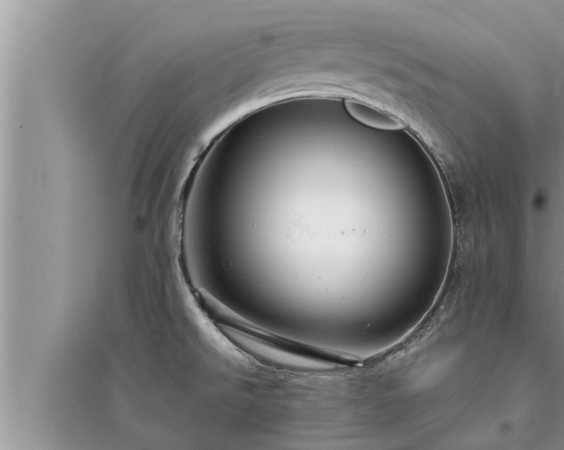 X0000095531526200712211314