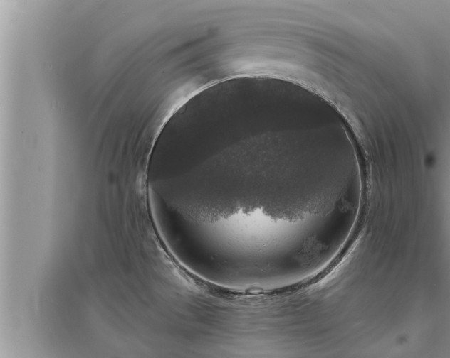 X0000095531529200712211314