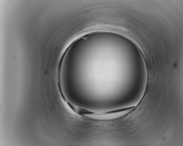 X0000095531531200712211314