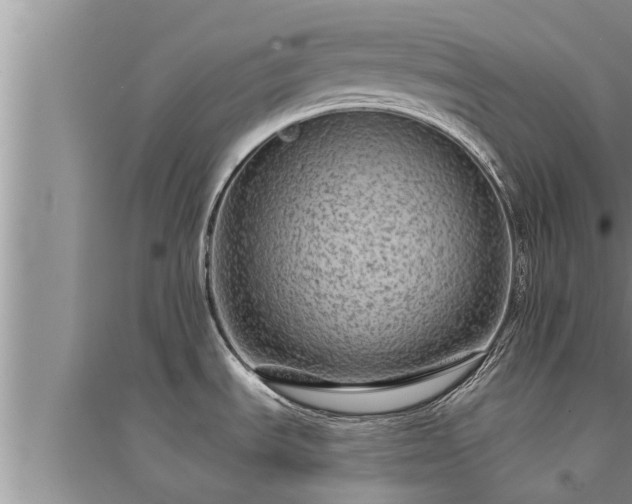 X0000095531535200712211314