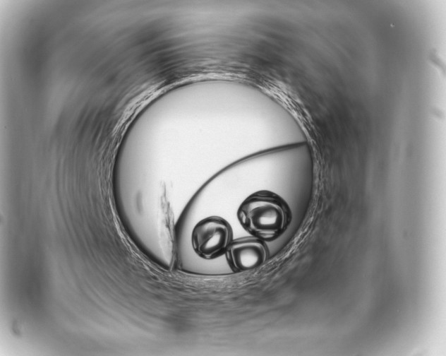 X0000095530001200712281532