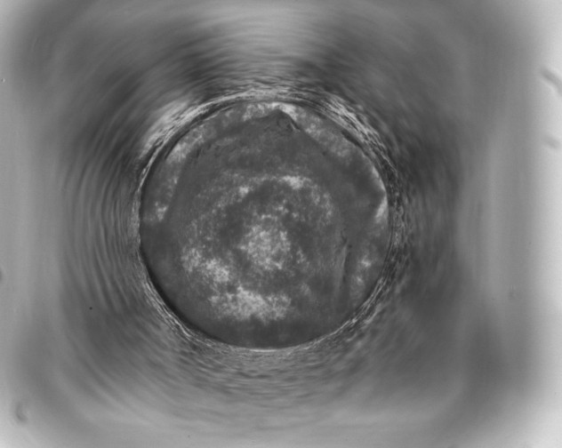 X0000095530002200712281532