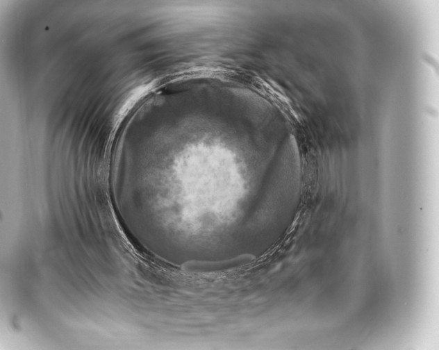 X0000095530003200712281532