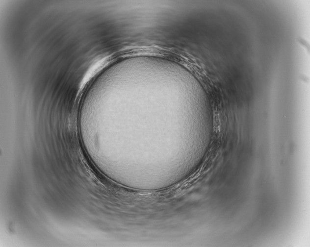 X0000095530004200712281532