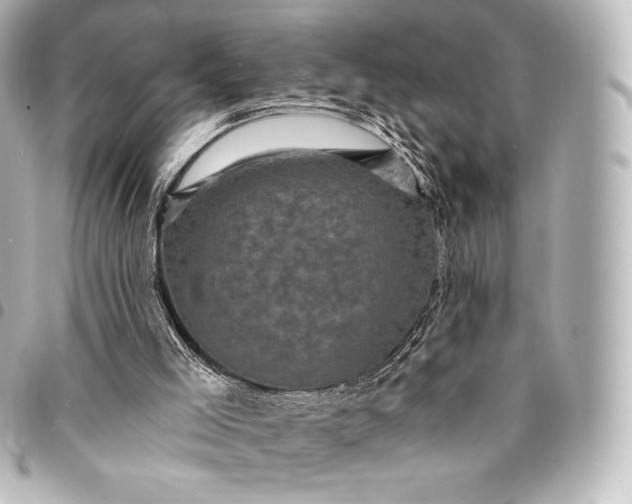 X0000095530005200712281532