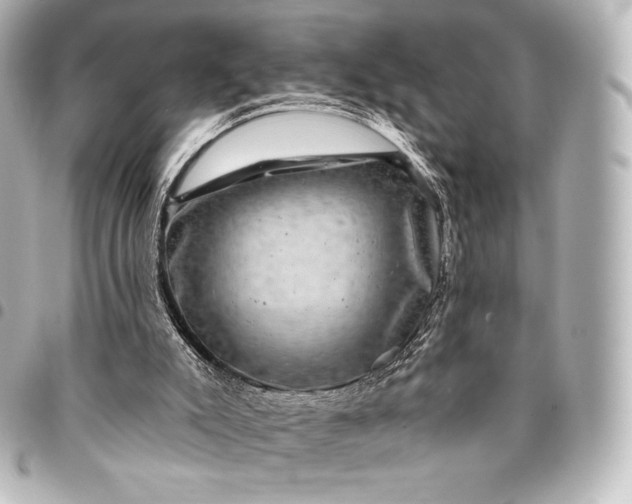 X0000095530007200712281532