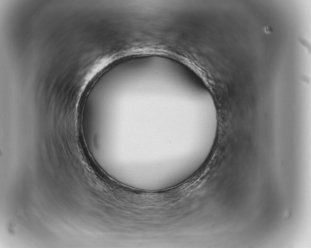 X0000095530008200712281532