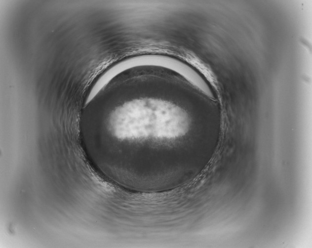 X0000095530009200712281532