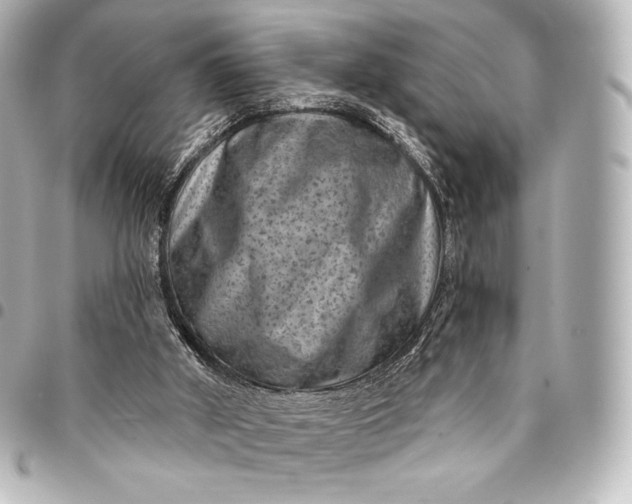 X0000095530010200712281532