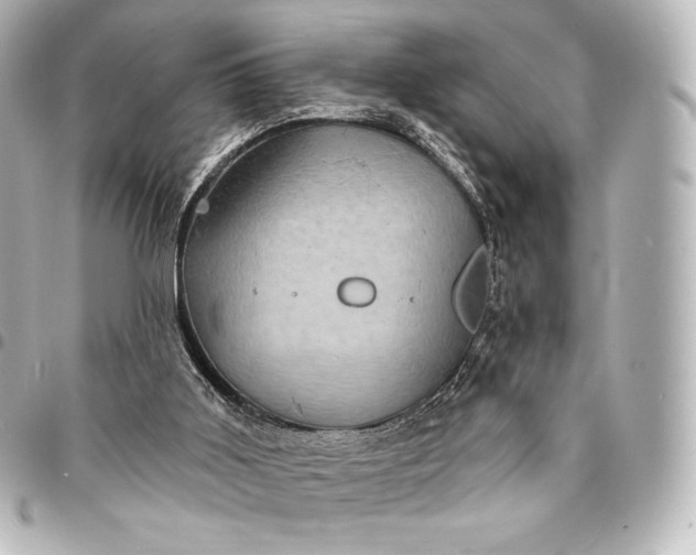 X0000095530011200712281532