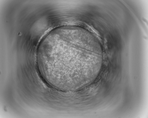 X0000095530012200712281532