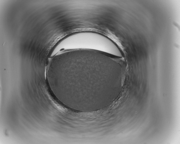 X0000095530013200712281532