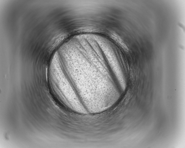 X0000095530014200712281532