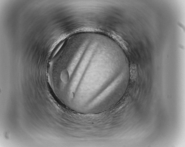 X0000095530015200712281532