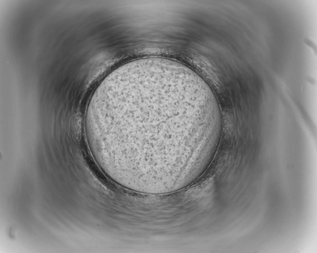 X0000095530016200712281532