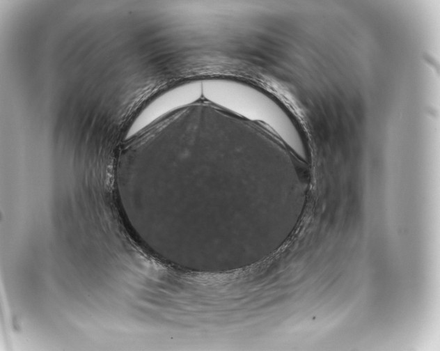 X0000095530017200712281532