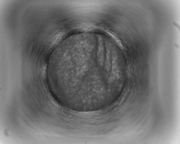 X0000095530018200712281532