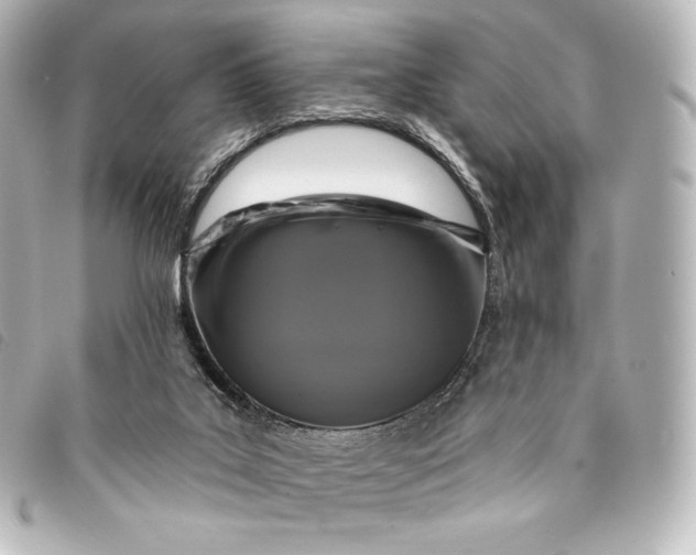 X0000095530019200712281532