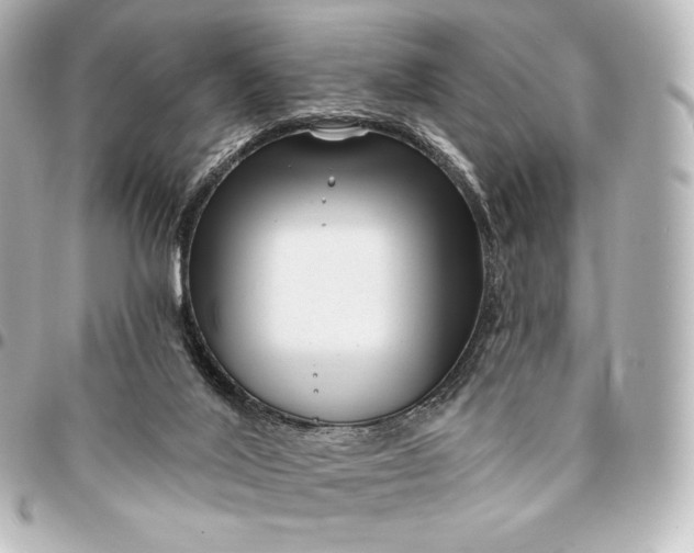 X0000095530020200712281532