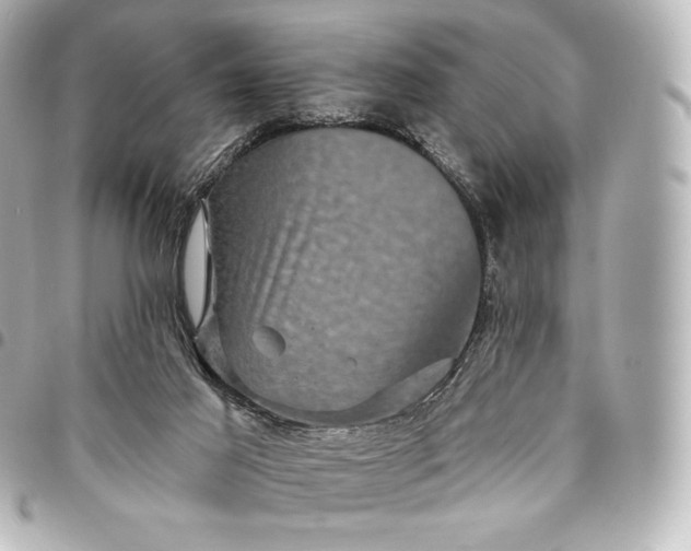 X0000095530021200712281531