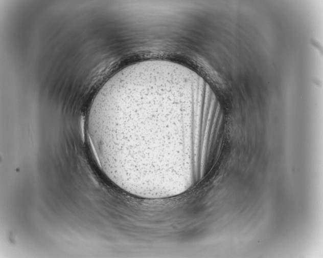 X0000095530022200712281531