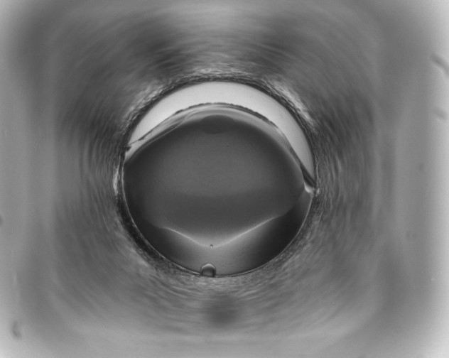 X0000095530023200712281531