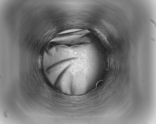 X0000095530026200712281531