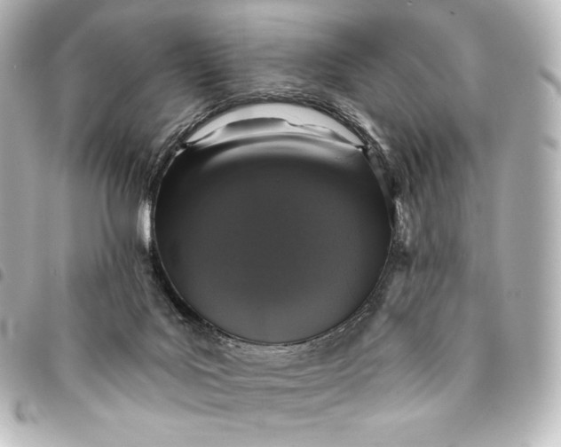 X0000095530027200712281531