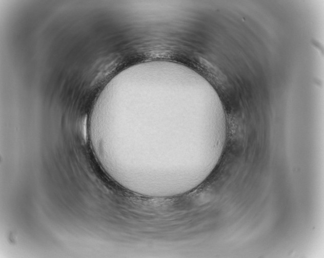 X0000095530028200712281531