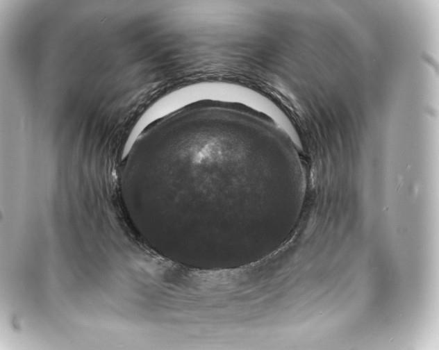 X0000095530029200712281531