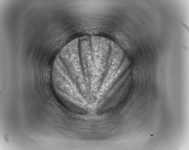 X0000095530030200712281531