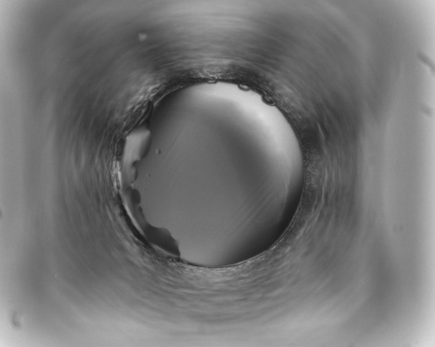 X0000095530031200712281531