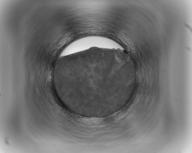 X0000095530032200712281531