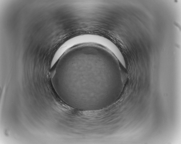 X0000095530033200712281531