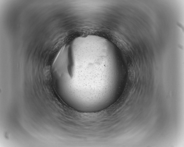 X0000095530034200712281531