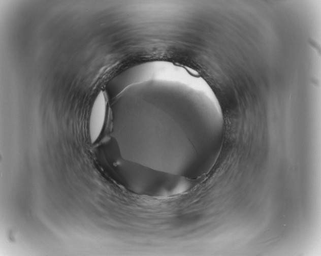 X0000095530035200712281531