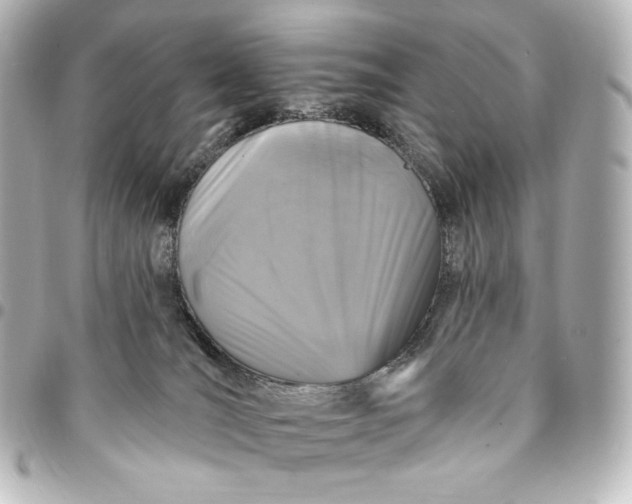 X0000095530036200712281531