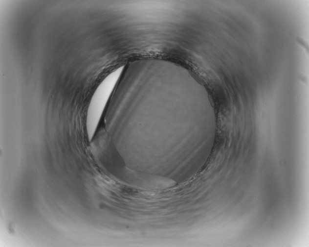 X0000095530037200712281531